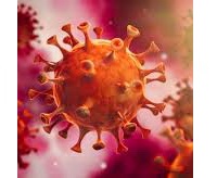Allgemeinverfügung Coronavirus Sars-CoV-2
